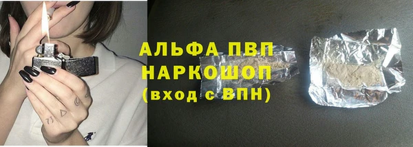 молекула духа Алексин