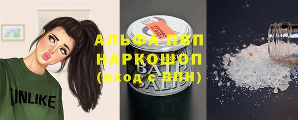 молекула духа Алексин